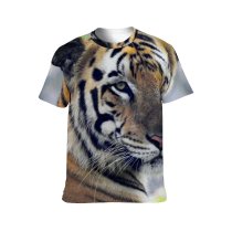 yanfind Adult Full Print T-shirts (men And Women) Big Fur Cat Hunter Jungle Safari Wildlife Angry Danger