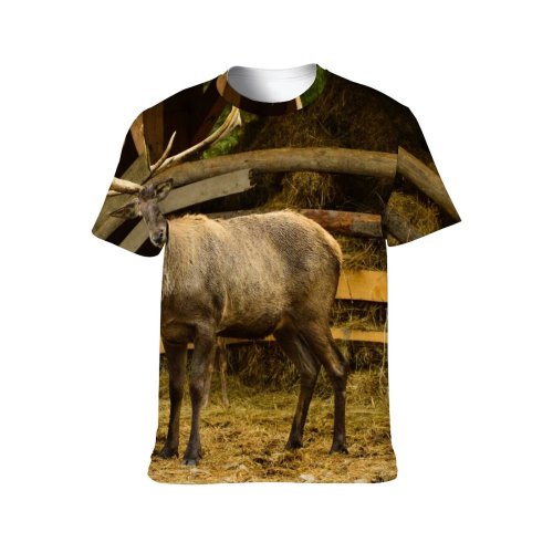 yanfind Adult Full Print T-shirts (men And Women) Wood Field Farm Grass Fall Reindeer Outdoors Bull Cow Moose Wildlife Stag
