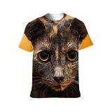 yanfind Adult Full Print Tshirts (men And Women) Images Abyssinian Tortie Cat Stock Pictures Free Pet Kitten Manx