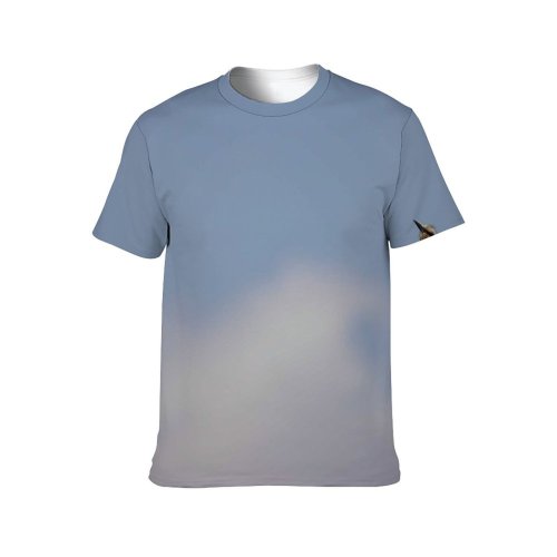 yanfind Adult Full Print T-shirts (men And Women) Flight Bird Freedom Travel Seagulls Portrait Outdoors Wild Fly Wildlife Wing Rainbow