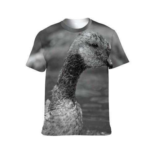 yanfind Adult Full Print T-shirts (men And Women) Aqua Avian Beak Biology Bird Watching Blurred Bw Creature Duck Ecosystem Fauna