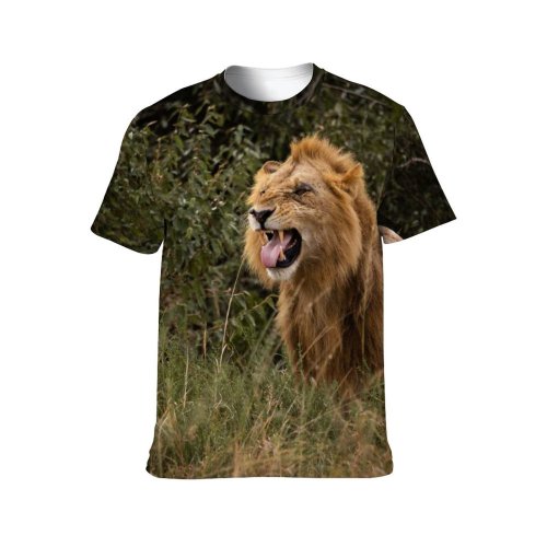 yanfind Adult Full Print T-shirts (men And Women) Grass Grassland Cat Outdoors Safari Wildlife Lioness Panthera Big Serengeti Side