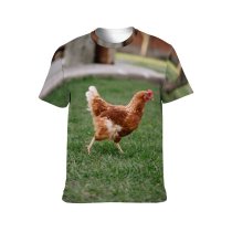 yanfind Adult Full Print T-shirts (men And Women) Bird Cute Farm Grass Lawn Chicken Beak Portrait Hen Outdoors Rural Feather