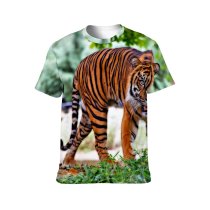 yanfind Adult Full Print T-shirts (men And Women) Big Cat Funny Grass Sumatran Wild Wildlife