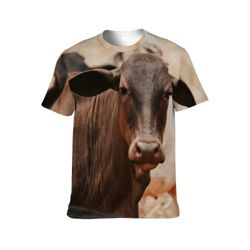 yanfind Adult Full Print T-shirts (men And Women) Blurred Bovine Cattle Countryside Cow Creature Eat Farm Farmland Fauna Feed Field