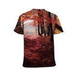 yanfind Adult Full Print T-shirts (men And Women) Autumn Backlit Dawn Fall Leaves Forest Leaf Light Outdoors Park Scenic Season