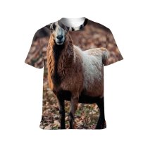 yanfind Adult Full Print T-shirts (men And Women) Cute Agriculture Farm Grass Fur Outdoors Baby Sheep Wildlife Pasture Goat