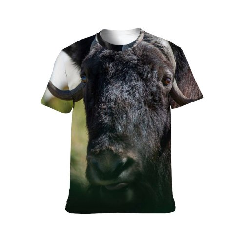 yanfind Adult Full Print T-shirts (men And Women) Grass Fur Portrait Strong Wild Bull Cow Wildlife Horn Bison Cattle