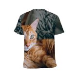 yanfind Adult Full Print T-shirts (men And Women) Cat Cats Pet Portrait Relaxation Resting Tabby