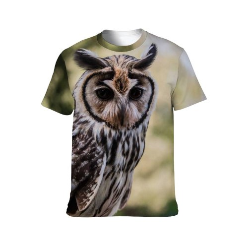 yanfind Adult Full Print T-shirts (men And Women) Bird Cute Beak Eagle Portrait Outdoors Wild Wildlife Staring