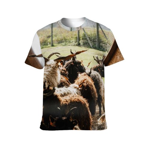 yanfind Adult Full Print T-shirts (men And Women) Countryside Agriculture Farm Outdoors Cow Rural Sheep Farming Barn Pasture Hay Goat