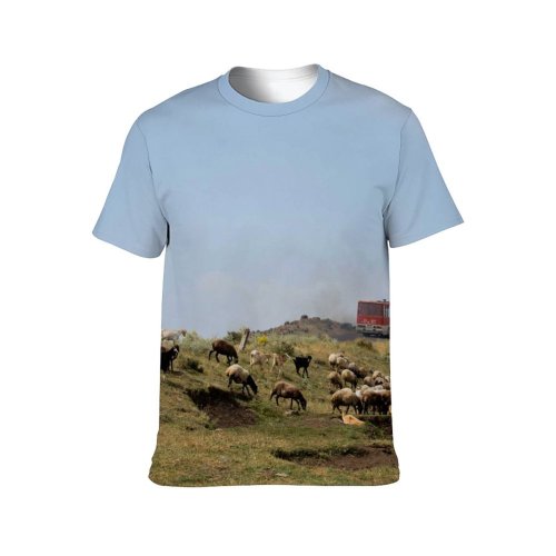 yanfind Adult Full Print T-shirts (men And Women) Landscape Summer Countryside Agriculture Grass Travel Outdoors Cow Rural Sheep Farmland