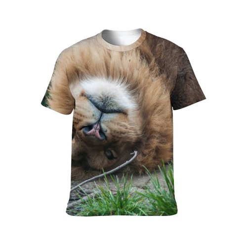 yanfind Adult Full Print Tshirts (men And Women) Lion Landscape Africa Safari Kenya Kilimanjaro Leader Travel Mount King Dangerous Savannah