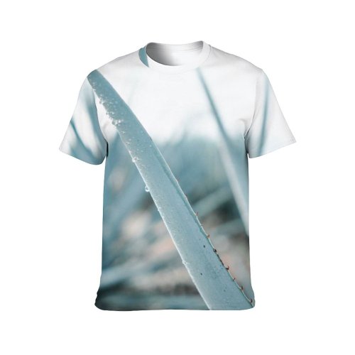 yanfind Adult Full Print T-shirts (men And Women) Desert Health Cactus Flora Focus Detail Succulent Sharp Spike Cure
