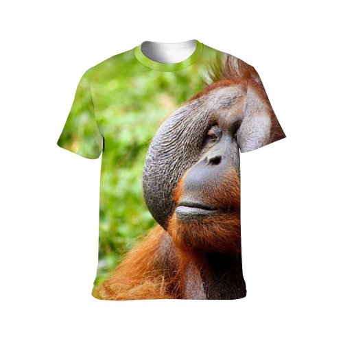 yanfind Adult Full Print T-shirts (men And Women) Calm Face Hairy Jungle Monkey Orangutan Trees Wild