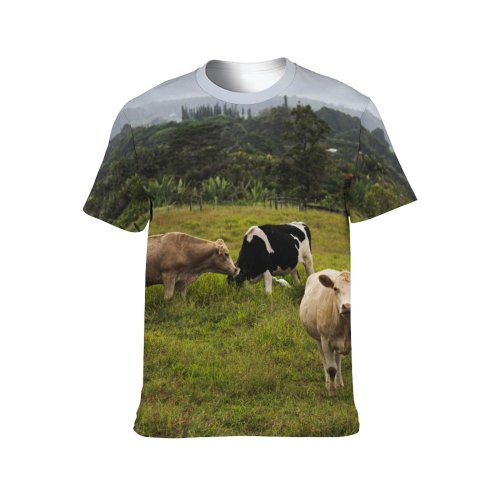 yanfind Adult Full Print T-shirts (men And Women) Landscape Field Countryside Agriculture Farm Grass Grassland Milk Cow Rural Farmland