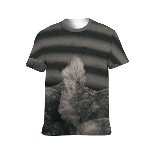 yanfind Adult Full Print T-shirts (men And Women) Bird Fence Hen Outdoors Duck Farming Poultry Cockerel Dame