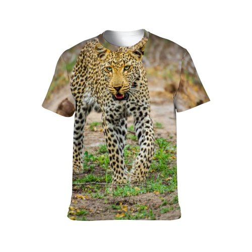 yanfind Adult Full Print T-shirts (men And Women) Grass Big Fur Cat Outdoors Wild Hunter Leopard Safari Wildlife