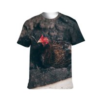 yanfind Adult Full Print T-shirts (men And Women) Bird Agriculture Farm Ground Chicken Portrait Outdoors Duck Farming Wildlife Poultry Dame