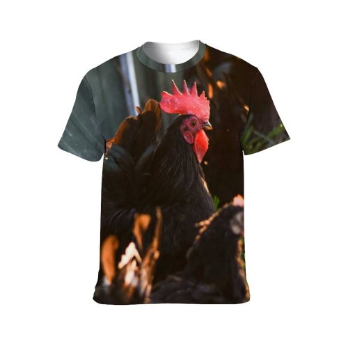 yanfind Adult Full Print T-shirts (men And Women) Bird Garden Agriculture Farm Grass Easter Chicken Hen Outdoors Rural Farming Nest