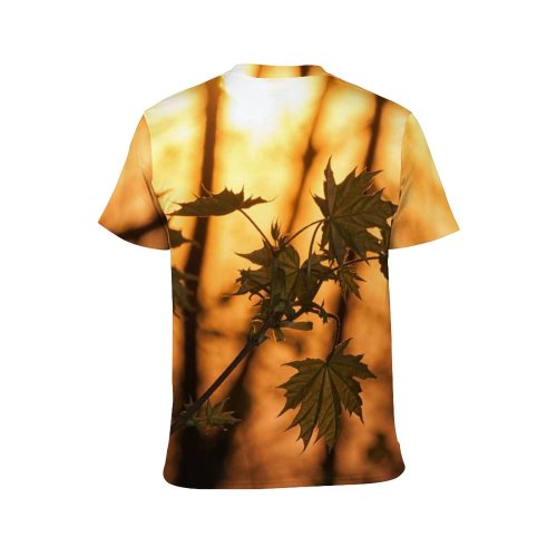 yanfind Adult Full Print Tshirts (men And Women) Autumn Beautiful Colorful Foliage Forest Leaf Light Outdoor Peaceful Scene Sunset Tree