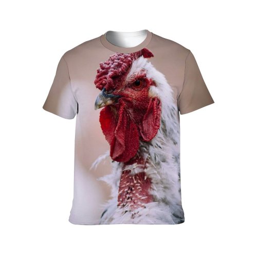 yanfind Adult Full Print T-shirts (men And Women) Winter Farm Portrait Hen Outdoors Rural Beautiful Feather Poultry Avian
