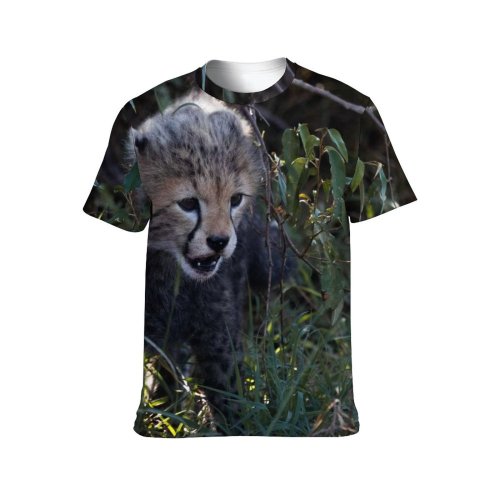yanfind Adult Full Print T-shirts (men And Women) Wood Bird Cute Grass Leaf Tree Portrait Cat Outdoors Wild Baby