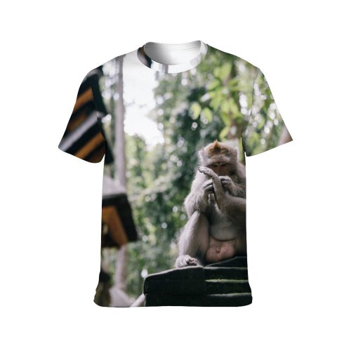 yanfind Adult Full Print T-shirts (men And Women) Wood Architecture Tree Travel Statue Portrait Sculpture Monkey Outdoors Religion Cemetery Primate