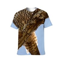 yanfind Adult Full Print T-shirts (men And Women) Flight Eagle Outdoors Wild Fly Wildlife Wing Feather Hawk Raptor Avian