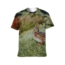 yanfind Adult Full Print T-shirts (men And Women) Avian Beak Biology Bird Creature Duck Ecosystem Fauna Foliage Fowl Freedom