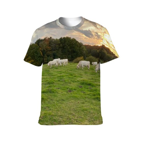 yanfind Adult Full Print T-shirts (men And Women) Landscape Field Summer Countryside Agriculture Farm Grass Outdoors Cow Rural Sheep Farmland