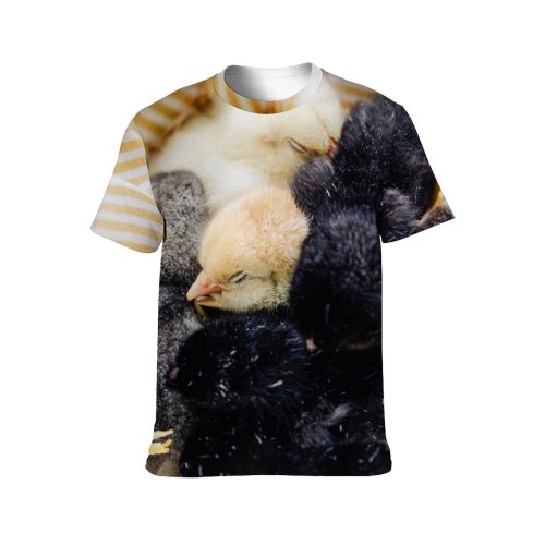 yanfind Adult Full Print T-shirts (men And Women) Bird Cute Fur Easter Egg Chicken Young Baby Little Tiny Newborn Nest