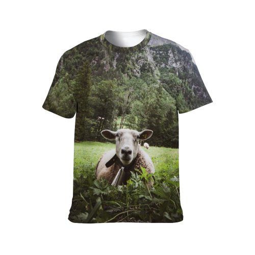yanfind Adult Full Print T-shirts (men And Women) Wood Landscape Field Summer Countryside Agriculture Farm Grass Tree Outdoors Cow Rural