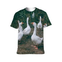 yanfind Adult Full Print T-shirts (men And Women) Beak Bird Bush Calm Countryside Creature Eat Farm Farmyard Feather Flock Freedom