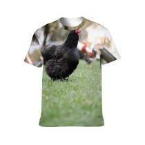 yanfind Adult Full Print T-shirts (men And Women) Bird Field Summer Cute Farm Grass Lawn Chicken Young Beak Portrait