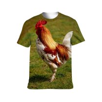 yanfind Adult Full Print T-shirts (men And Women) Bird Grass Chicken Beak Hen Outdoors Rural Wildlife Feather Poultry Avian Crest