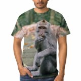 yanfind Adult Full Print T-shirts (men And Women) Wood Cute Park Tree Fall Portrait Monkey Outdoors Wild Wildlife