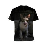 yanfind Adult Full Print T-shirts (men And Women) Dog Pet Cute Fur Portrait Kitten Cat Baby Sleep Sit
