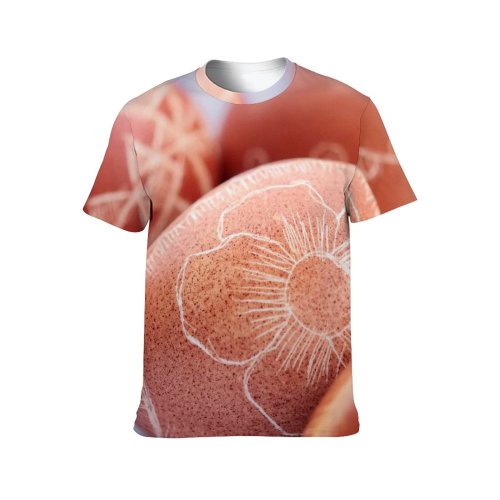 yanfind Adult Full Print T-shirts (men And Women) Wood Vacation Breakfast Easter Egg Chicken Health Traditional Delicious Boiling Nutrition Cholesterol