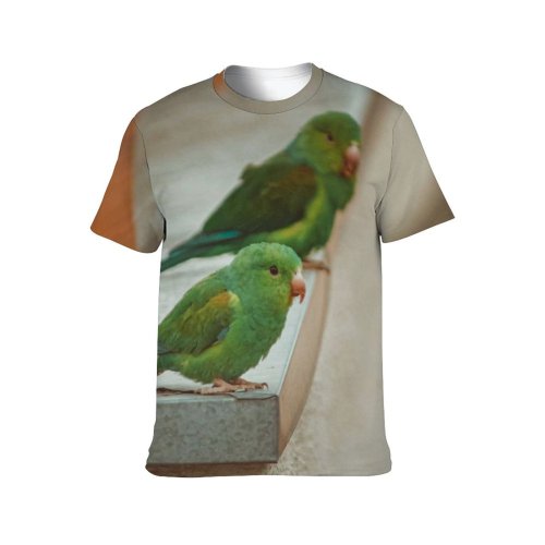 yanfind Adult Full Print T-shirts (men And Women) Beak Bird Blurred Building Calm Colorful Construction Daylight Daytime Detail