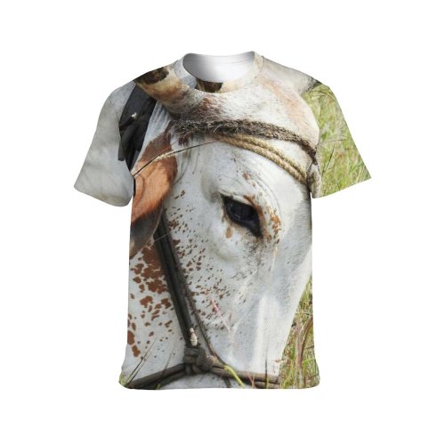 yanfind Adult Full Print T-shirts (men And Women) Field Countryside Agriculture Farm Bull Rural Wildlife Farmland Pasture Horn Hayfield
