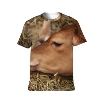 yanfind Adult Full Print T-shirts (men And Women) Calf Cow Farm Hay Horn Landscape Rural Sleeping