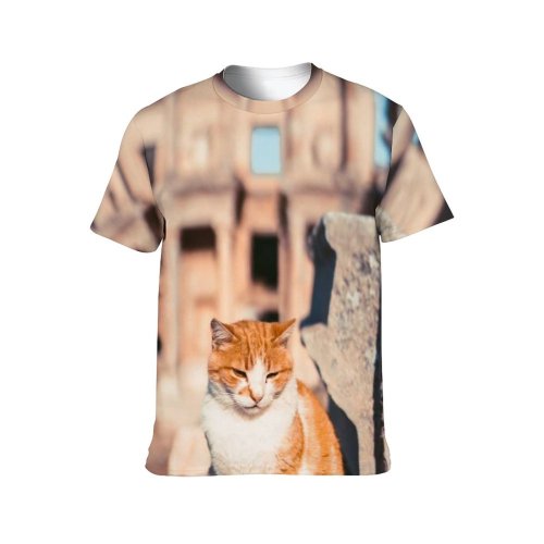 yanfind Adult Full Print T-shirts (men And Women) Cat Face Ephesus Historic Historical Architecture Building Monument Ruins