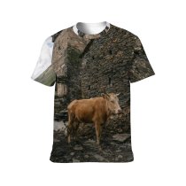 yanfind Adult Full Print T-shirts (men And Women) Architecture Building Cattle Concrete Countryside Cow Farm Home Rock Rural Stone