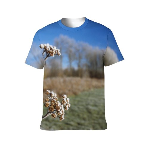 yanfind Adult Full Print T-shirts (men And Women) Landscape Trees Woods Plants Frozen Snow Winter