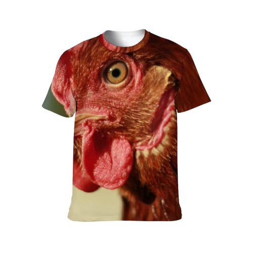 yanfind Adult Full Print T-shirts (men And Women) Farm Grass Beak Portrait Outdoors Rural Wildlife Poultry Crest Dame