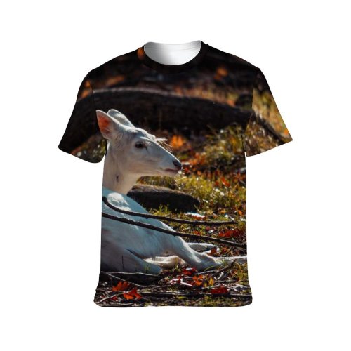 yanfind Adult Full Print T-shirts (men And Women) Snow Wood Bird Winter Grass Park Leaf Tree Fall Portrait Outdoors Wildlife