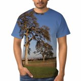 yanfind Adult Full Print Tshirts (men And Women) Landscape Trees California USA