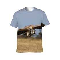 yanfind Adult Full Print T-shirts (men And Women) Flight Freedom Bald Eagle Outdoors Wild Safari Wildlife Raptor Prey Scavenger Magnificence