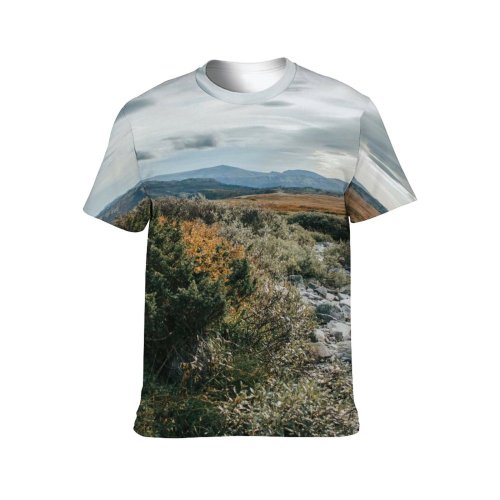yanfind Adult Full Print T-shirts (men And Women) Wood Dawn Sunset Desert Hill Grass Leaf Tree Fall Travel Rock Outdoors